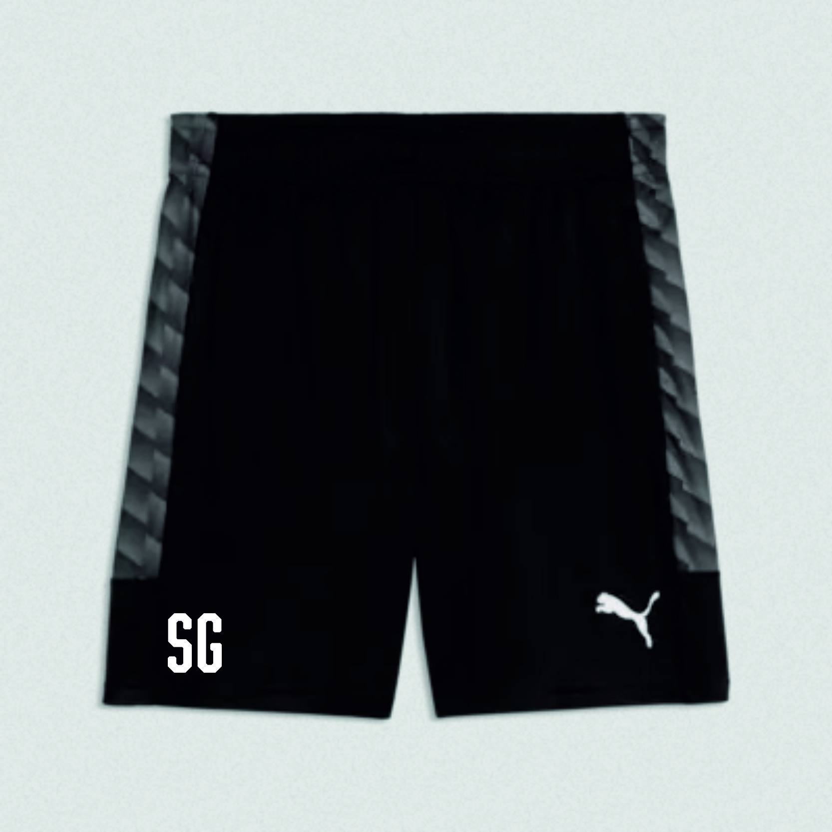 teamLIGA26 Training Shorts